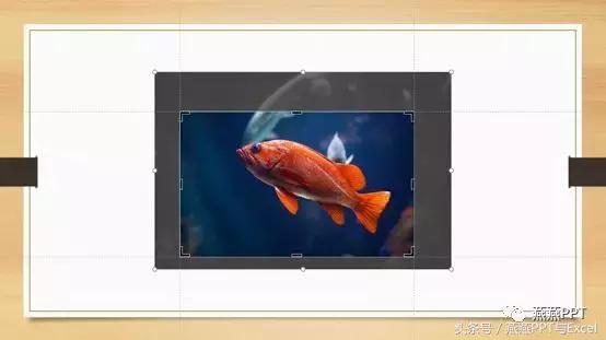 ppt构图格式,ppt构图颜色