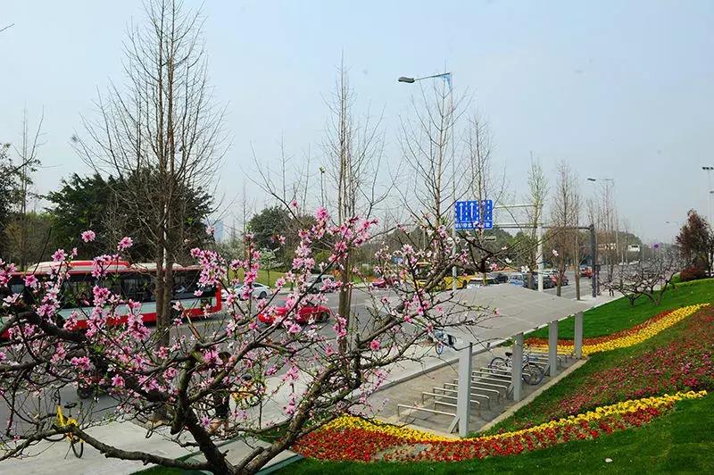 双流网红街,双流网红街打卡地