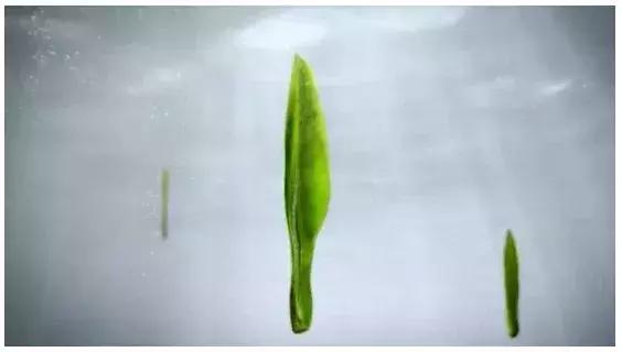 竹叶青53度,山西竹叶青酒