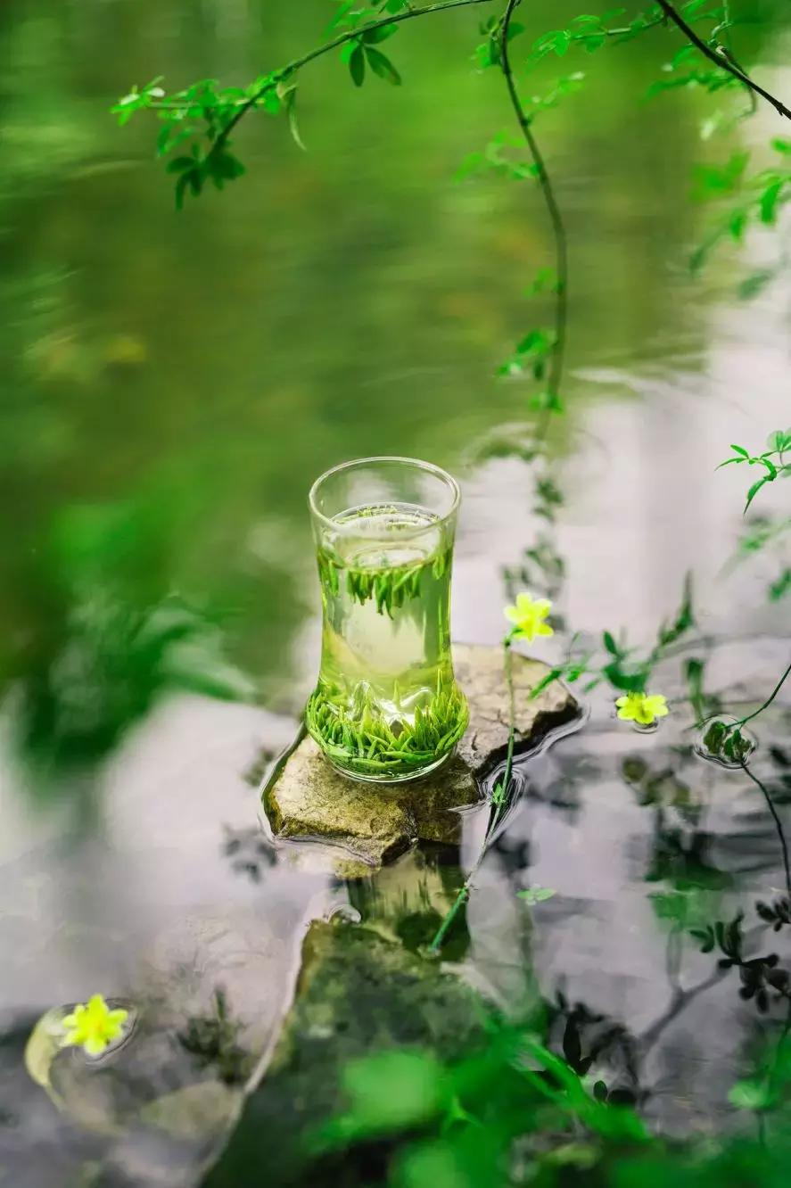 竹叶青53度,山西竹叶青酒