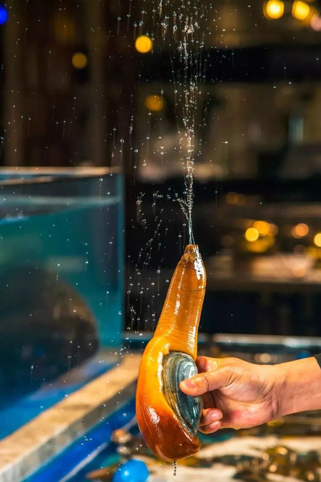 天津海鲜自助一百多一位的餐厅,天津高端自助海鲜价位