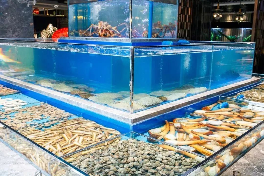 天津海鲜自助一百多一位的餐厅,天津高端自助海鲜价位