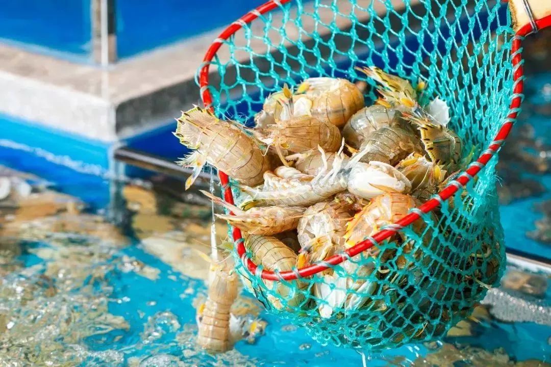 天津海鲜自助一百多一位的餐厅,天津高端自助海鲜价位