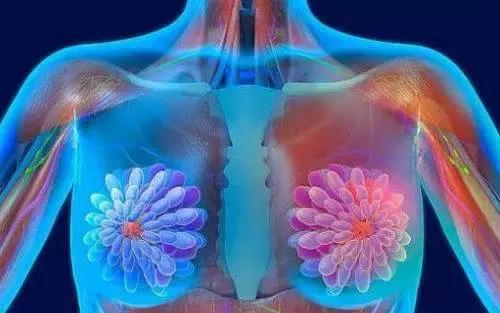 全国肿瘤防治宣传周公益活动,肿瘤宣传周健康宣教