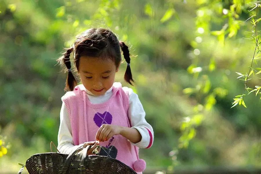 春柳,最平易近人的春色