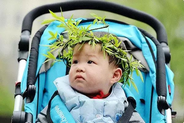 春柳,最平易近人的春色