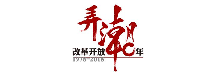 东莞台商故事 (弄潮两代台商的东莞故事)