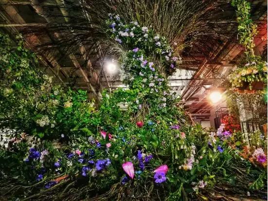 开一家花店就是为了与你相遇,如果你也想开一家花店