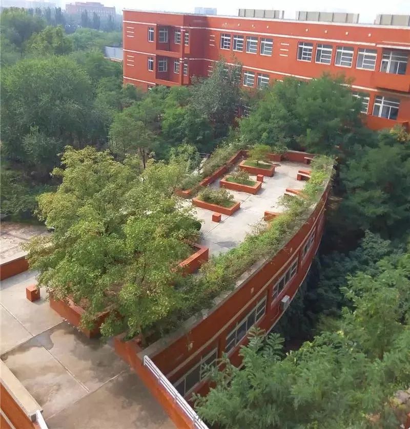 学子眼中的山科院系列篇(1)关于校园,他们这样说...