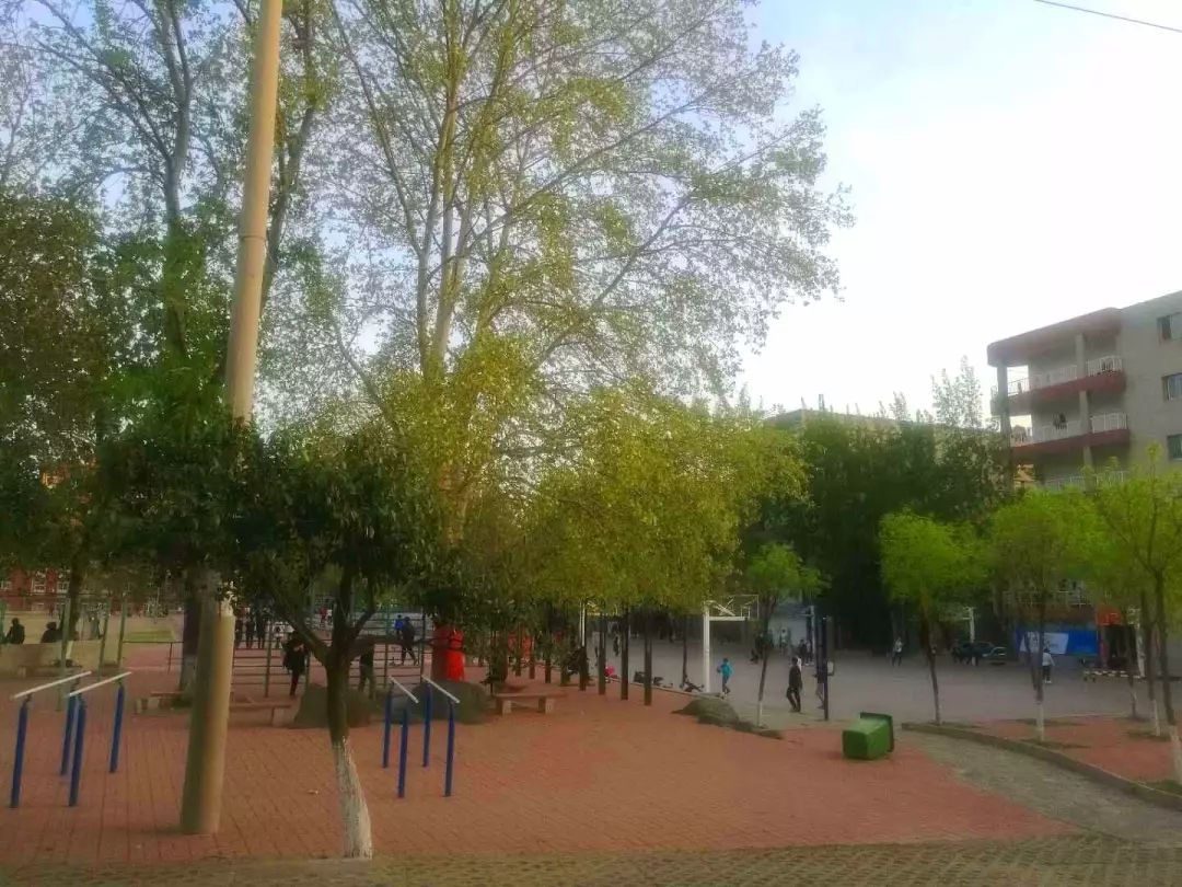 学子眼中的山科院系列篇(1)关于校园,他们这样说...