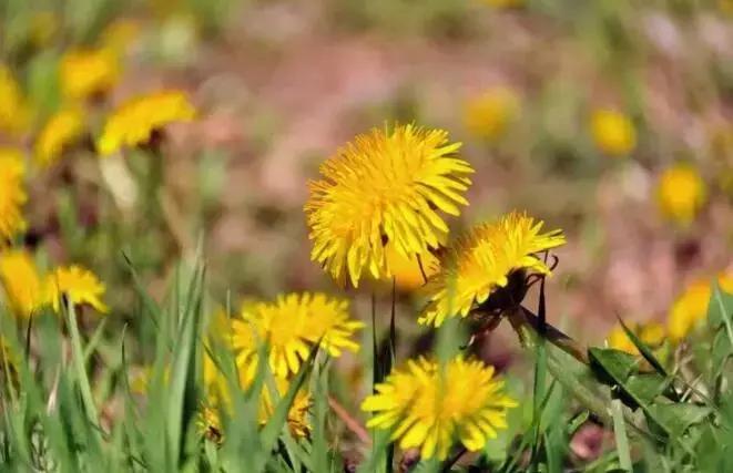 巍巍太行魅力驼梁,巍巍太行美丽石家庄