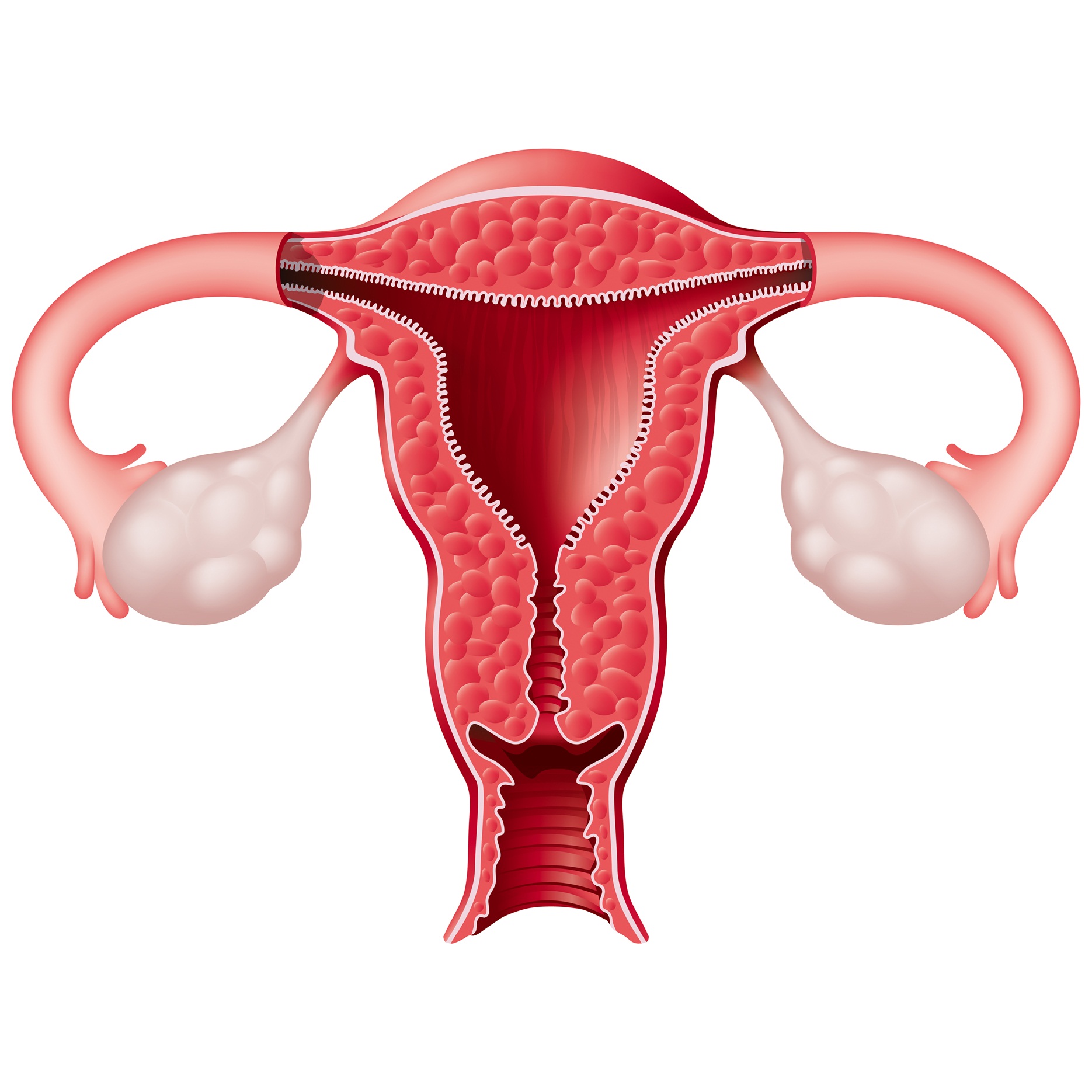 绝经后卵巢囊肿普遍吗有什么症状,卵巢囊肿出现腹水会是什么症状