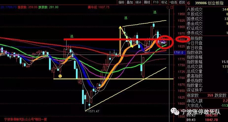 海南板块低价股,海南板块重仓股