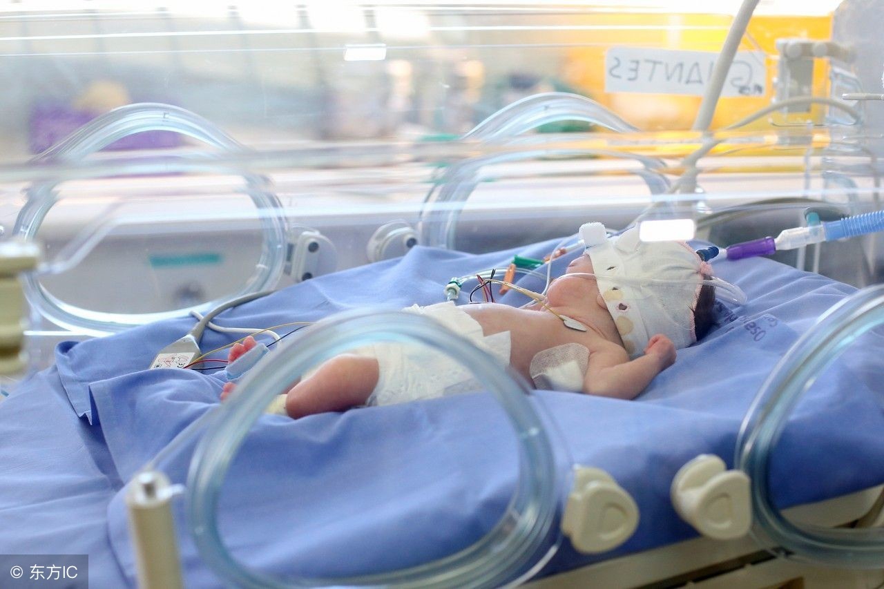 七个月早产儿打针费用,早产儿没钱治疗的存活率是多少