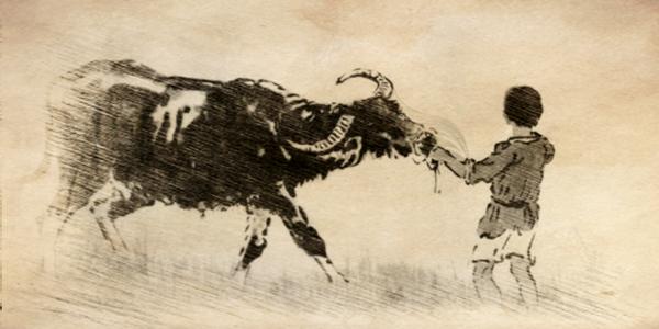 戌时生的属牛人运势,十二生肖中属牛的人性格是怎样的