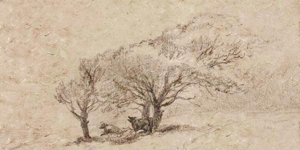 戌时生的属牛人运势,十二生肖中属牛的人性格是怎样的