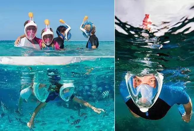 马来西亚红树林长鼻猴萤火虫之旅,亚庇美人鱼萤火虫一日游