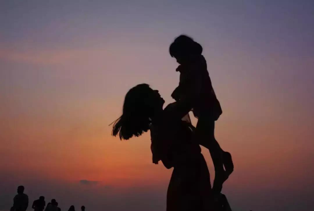 马来西亚红树林长鼻猴萤火虫之旅,亚庇美人鱼萤火虫一日游