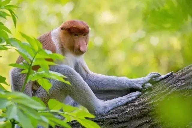 碧海蓝天椰风海韵阳光沙滩,碧海蓝天度假天堂