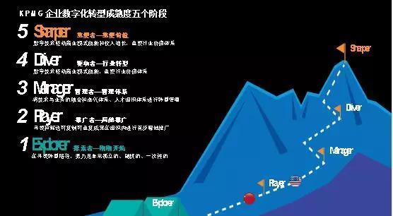 数字化千人千面,数字化转型千人千面