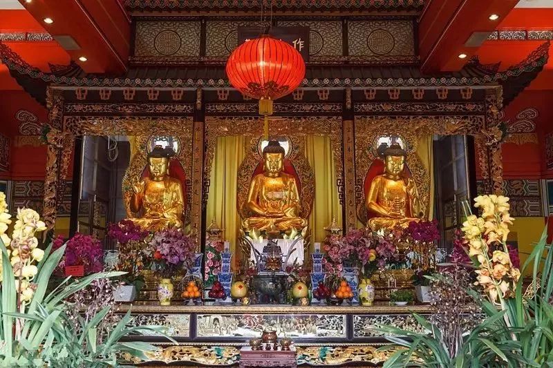 不止九龙旺角，这才是香港的天堂，但99%的人都去错地方了！