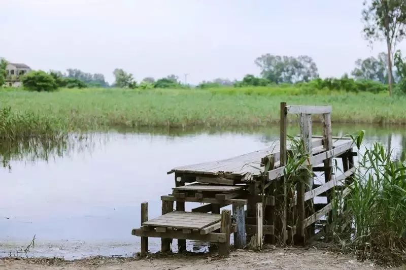 不止九龙旺角，这才是香港的天堂，但99%的人都去错地方了！