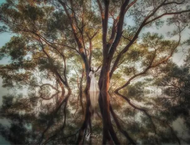 不止九龙旺角，这才是香港的天堂，但99%的人都去错地方了！