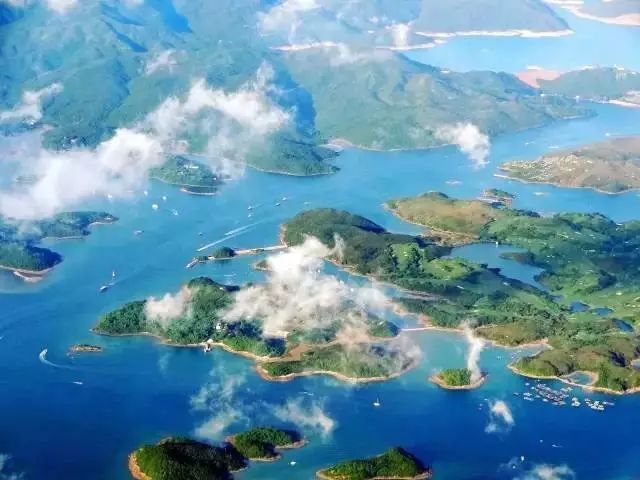 不止九龙旺角，这才是香港的天堂，但99%的人都去错地方了！