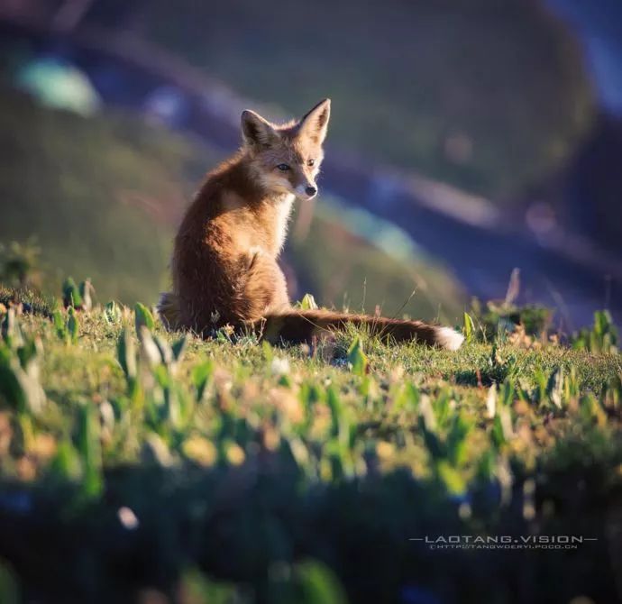 青海有神奇的地方吗,青海十大绝美景点