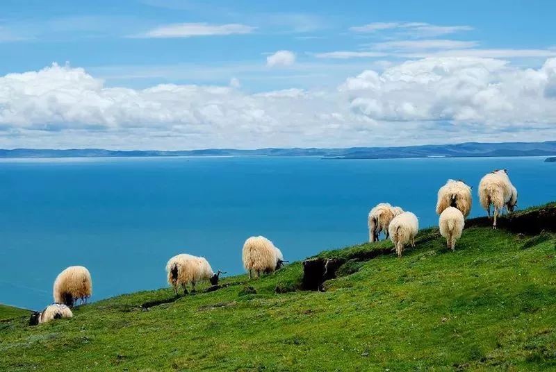 青海有神奇的地方吗,青海十大绝美景点