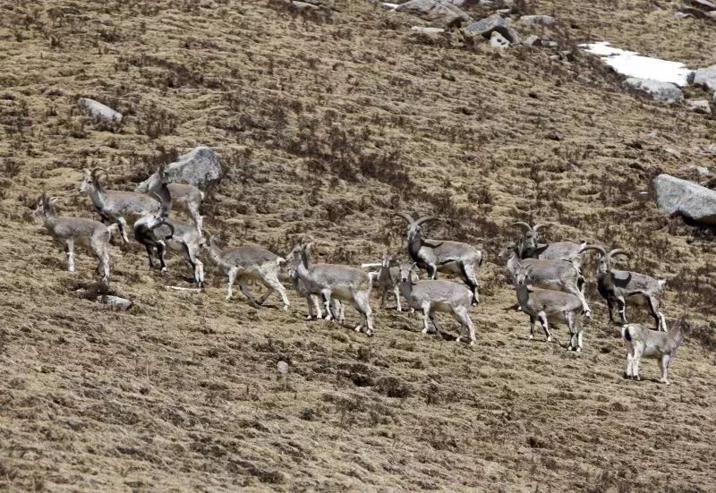 青海有神奇的地方吗,青海十大绝美景点