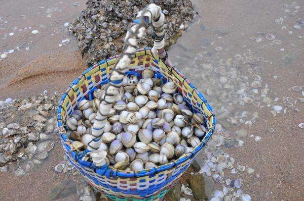 鑺辩敳铔よ湂鍝釜鐗屽瓙濂藉悆,鍗冨眰铔よ湂