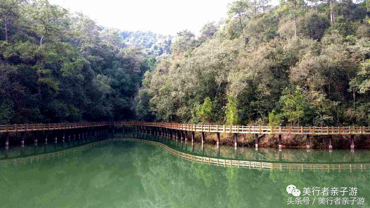 到版纳一定要体验一场泼水狂欢,云南景洪泼水节之旅