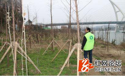 邵阳水沟工程,邵阳排污管