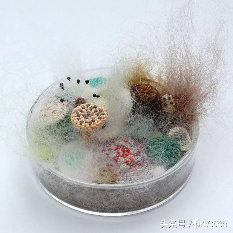 Bristol|可爱来袭,“霉菌”也有春天