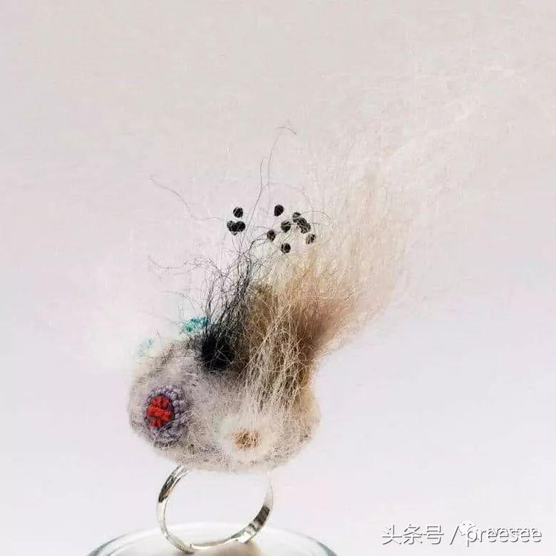 Bristol|可爱来袭,“霉菌”也有春天