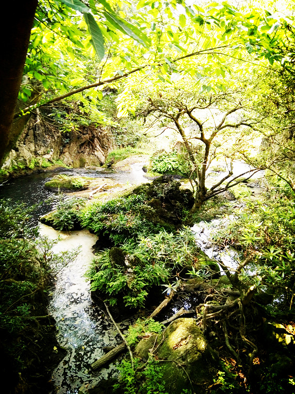 来黄果树游玩，千万不要错过天星桥，否则，你一定会后悔