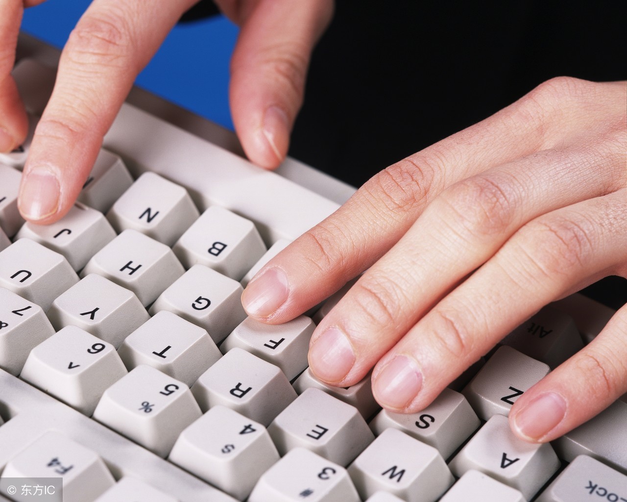 不小心被鳄鱼咬到怎么办,被鳄鱼咬了怎么避免死亡翻滚