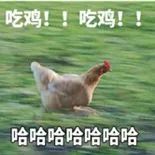 震惊！这群人竟然生吃鸡肉！