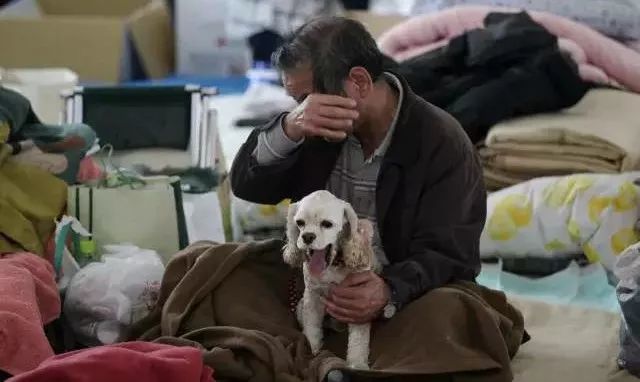 日本熊本地震恢复多久了,震后日本最新消息