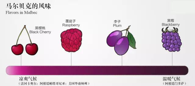 一款值得推荐的酒,有一款很典雅的酒