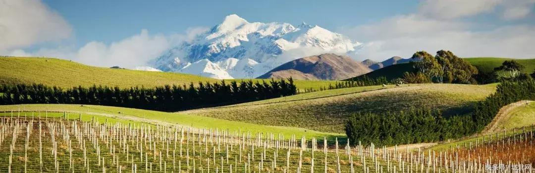 世界顶级的十大私人酒庄价格,世界最大的酒庄值多少钱