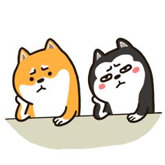 g-shock是什么品牌,gshock手表科技