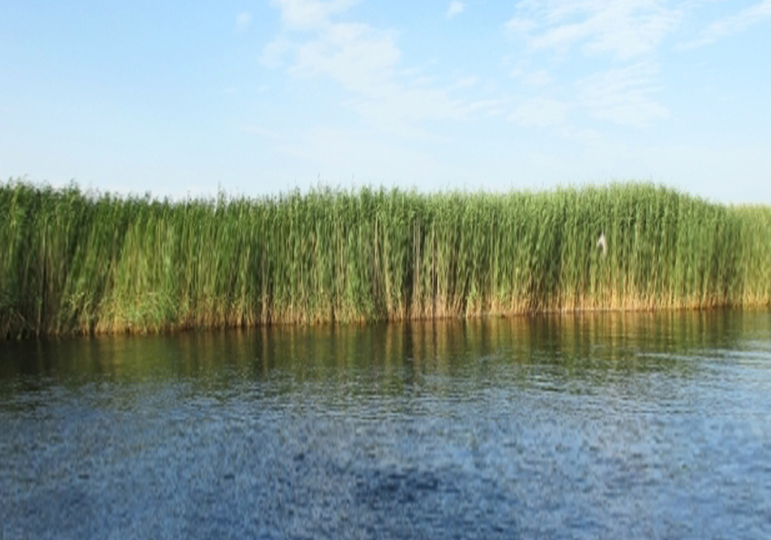 库尔勒是最美的地方,库尔勒风景最美的地方