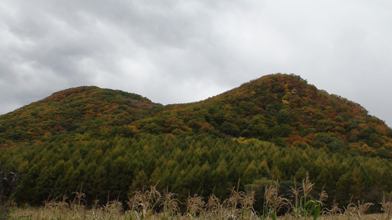 双阳滑翔伞一日游价格表,长春附近双阳滑翔伞基地