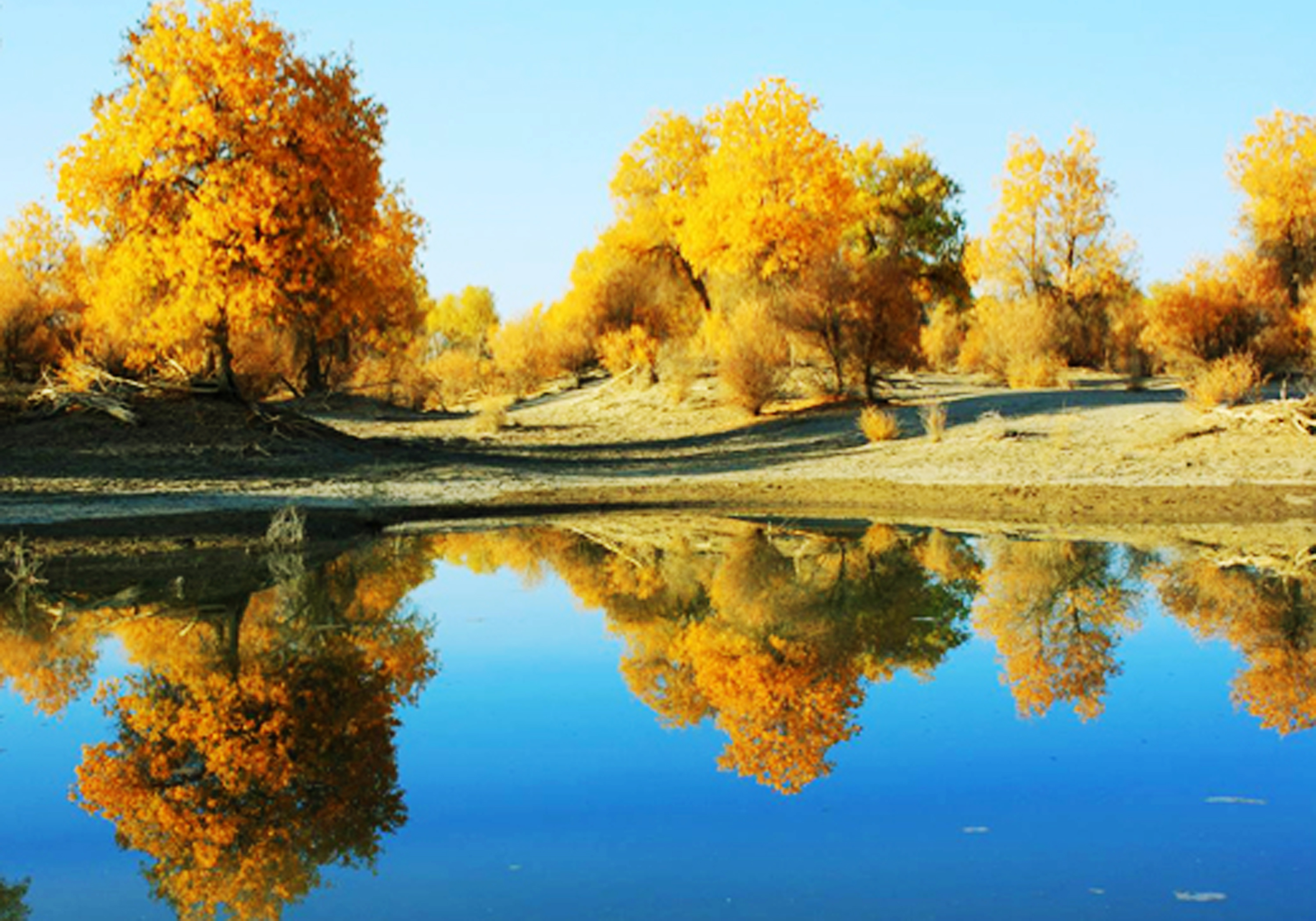 库尔勒是最美的地方,库尔勒风景最美的地方