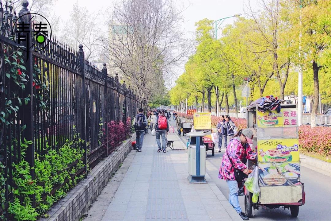 魅力校园南大附中,南大附中南师附中