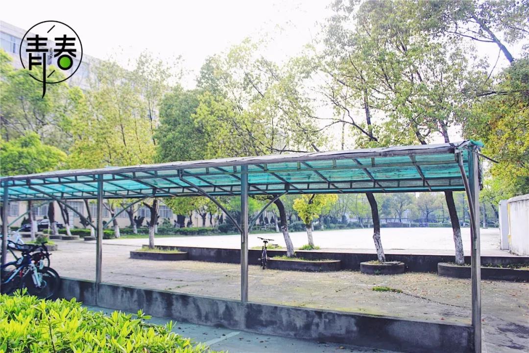 魅力校园南大附中,南大附中南师附中