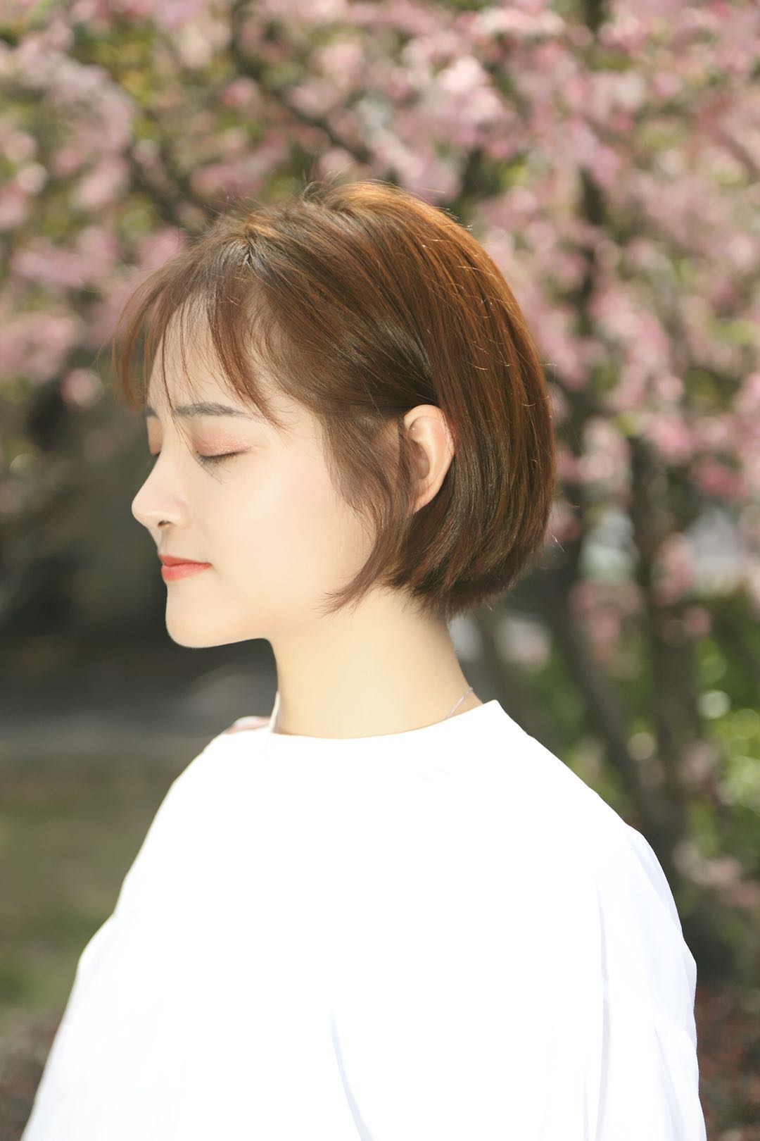 施华蔻斐丝丽泡泡染发剂薄荷青灰,施华蔻斐丝丽泡泡染发剂教学