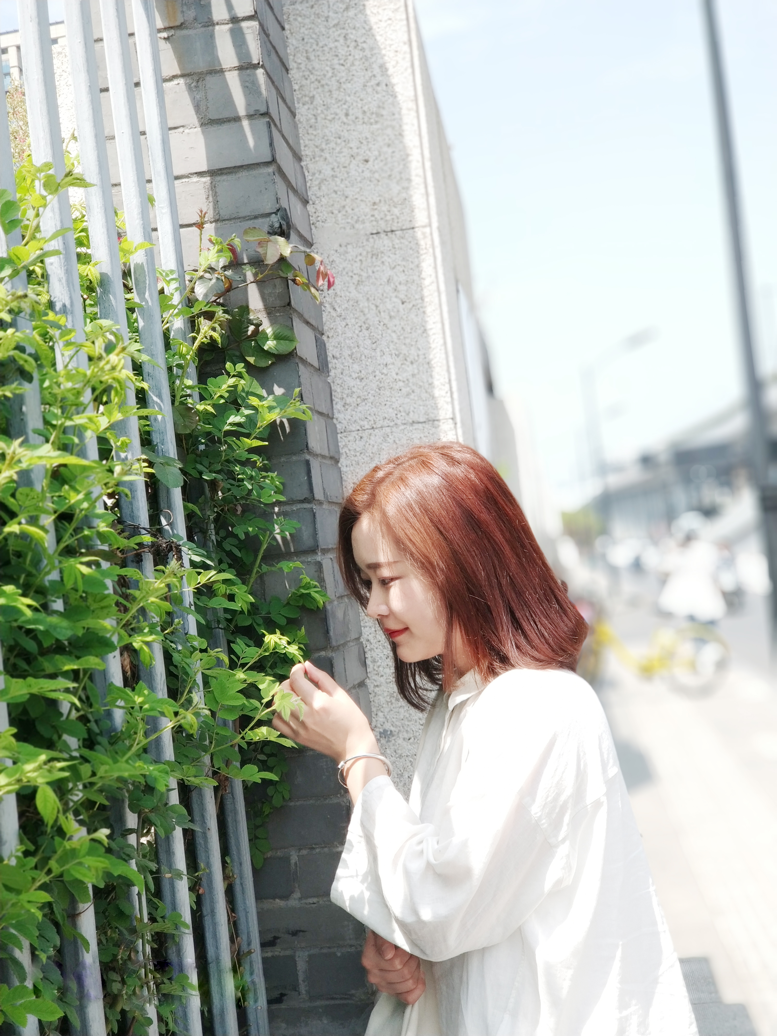 施华蔻斐丝丽泡泡染发剂薄荷青灰,施华蔻斐丝丽泡泡染发剂教学